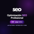 Optimización SEO Profesional